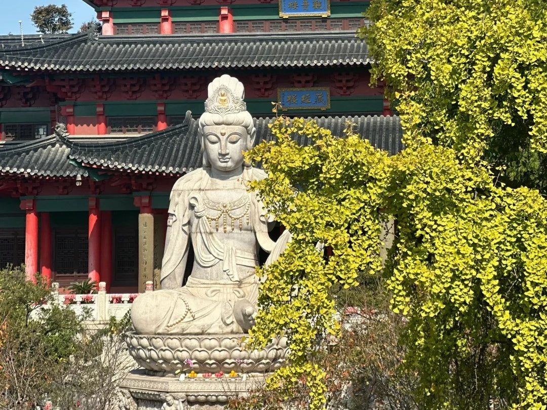 Vairocana Buddha: The Cosmic Illuminator of Tibetan Buddhism